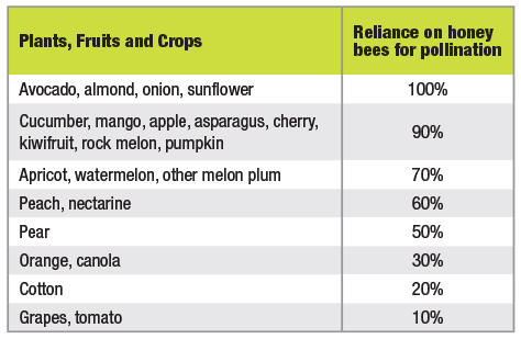 Table showing different crops reliance on pollination