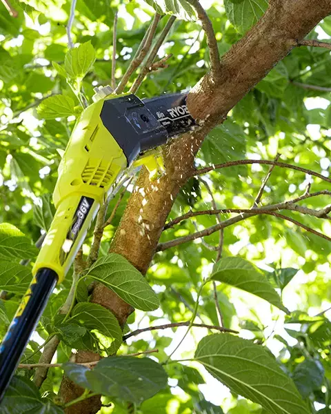 RYOBI Pruning Saw cutting a high branch