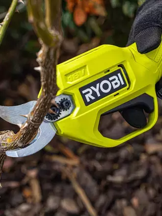 RYOBI secateurs about to cut a medium sized plant branch