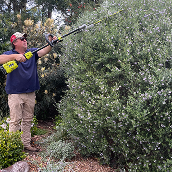 Jason Hodges pruning an overgrown bush with a hedge trimmer