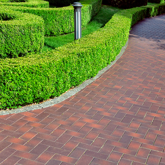 A neatly pruned hedge lines a garden path