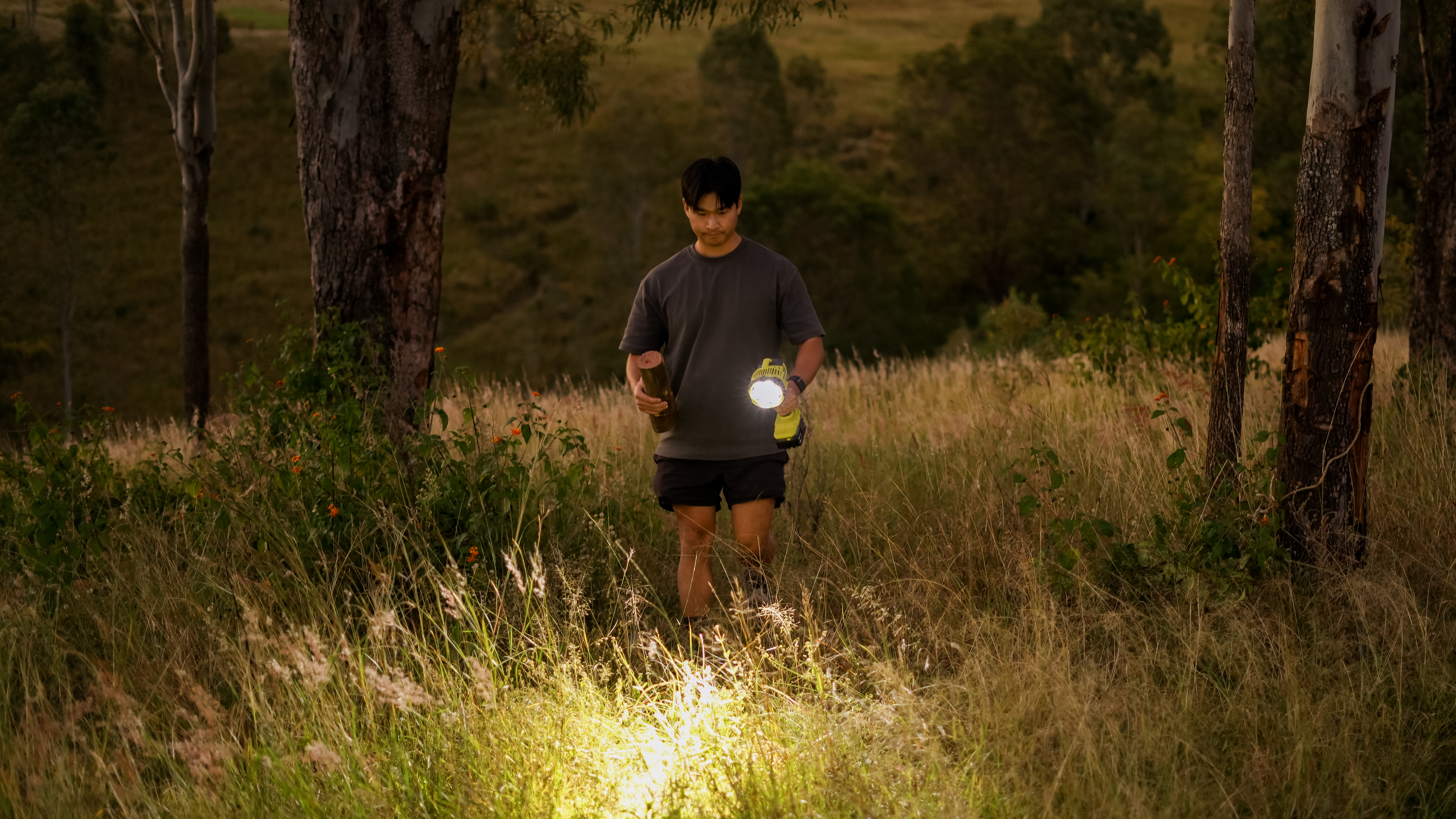 Camping Essentials - Torches