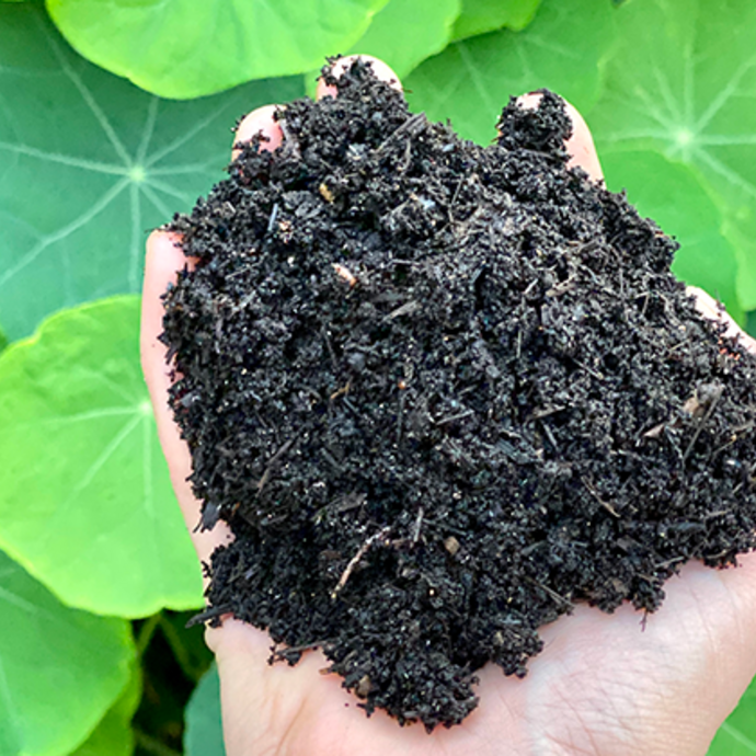 Hand holding dark healthy soil with leafy green plants in background