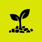 Icon: black plant with mulch at base on hyper green background
