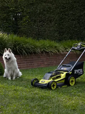 A large, white dog sits next to a RYOBI Lawn Mower